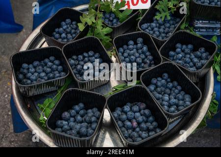 Heidelbeerverkauf auf dem traditionellen türkischen Bauernmarkt, eine Theke gefüllt mit frischem Obst Stockfoto