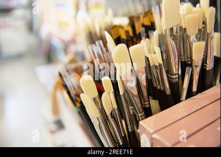 Stille Leben mit Pinseln mit synthetischen und natürlichen Borsten unterschiedlicher Qualität und Weichheit, zum Verkauf im Schreibwarenladen der Schule. Malerei. Stockfoto