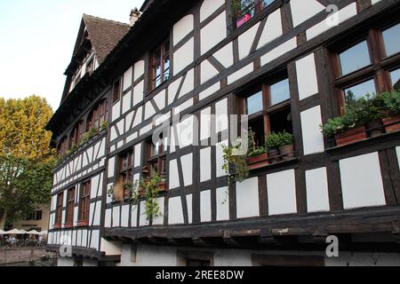 Fachwerkhaus im Stadtteil „Petite france“ in straßburg im elsass (frankreich) Stockfoto