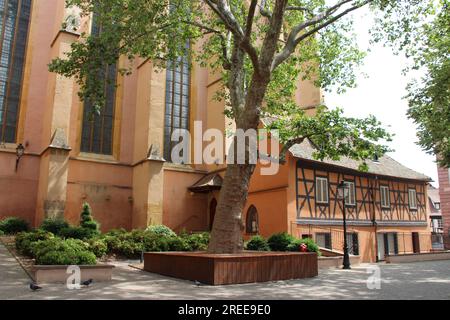 protestantische Kirche (saint-matthieu) in colmar im elsass (frankreich) Stockfoto