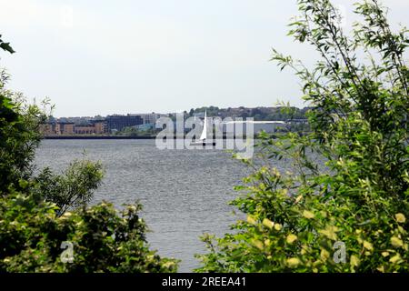 Einzelnes Segelboot in Cardiff Bay mit Bäumen im Vordergrund Juli 2023. Stockfoto