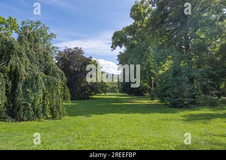 Die Lichtentaler Allee im Kurpark Baden Baden   Baden Baden, Baden Württemberg, Deutschland Stockfoto