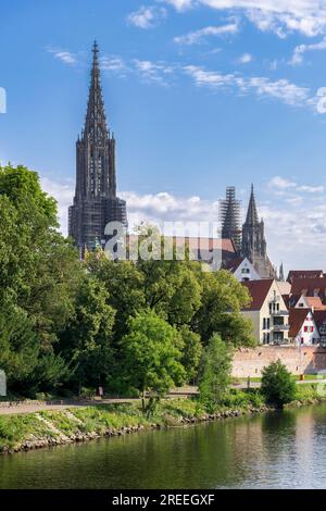 Blick auf die Stadt, Donauufer mit historischer Altstadt, Fischerviertel, Kathedrale, Ulm, Baden-Württemberg, Deutschland Stockfoto