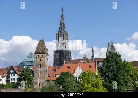 Blick auf die Stadt, historische Altstadt, Fischerviertel, Metzgerturm und Kathedrale, Ulm, Baden-Württemberg, Deutschland Stockfoto