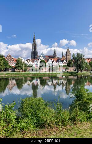 Blick auf die Stadt, Donauufer mit historischer Altstadt, Fischerviertel, Metzgerturm und Kathedrale, Ulm, Baden-Württemberg, Deutschland Stockfoto