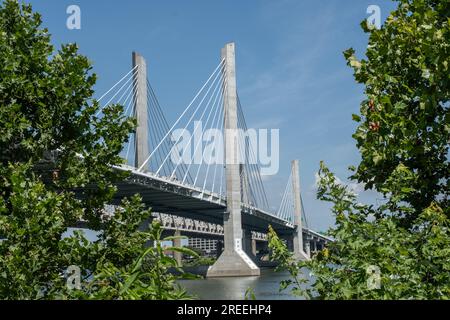 Die Abraham Lincoln Bridge über den Ohio River in Louisville, Kentucky, USA, führt tagsüber durch Bäume Stockfoto