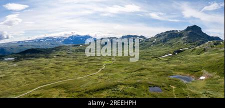 Tundra, karge Berglandschaft mit Mount Bitihorn, Oystre Slidre, Jotunheimen-Nationalpark, Norwegen Stockfoto