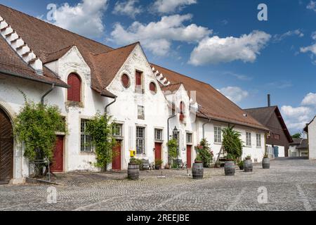 Ehemalige Klosterscheunen auf dem Klosterplatz der ehemaligen Benediktinerabtei, Rheinau, Andelfingen, Kanton Zürich, Schweiz Stockfoto