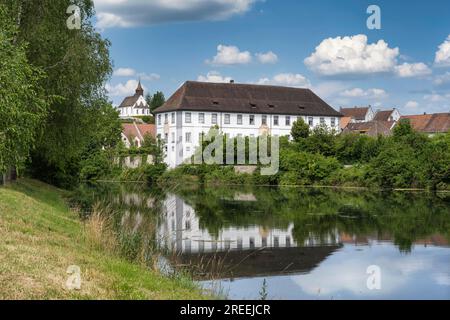Blick von der Rheininsel Rheinau bis zur ehemaligen Benediktinerkloster und der Berggirche St. Nikolaus, Rheinau, Andelfingen, Kanton Zürich Stockfoto