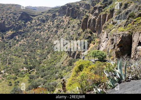 Caldera de Bandama im Bandama Naturpark oder Monumento Natural de Bandama, Las Palmas Province, Gran Canaria, Kanarische Inseln, Spanien Stockfoto