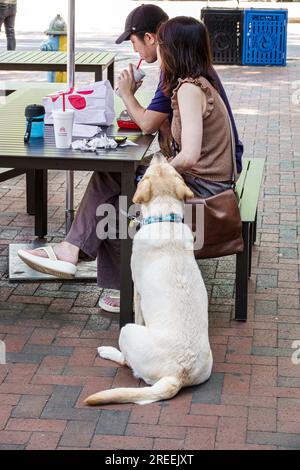 Athens Georgia, College Avenue, Restaurants, Abendessen, Abendessen, Essen im Freien, Sonnenschirme im Freien, ein paar Hunde, die geduldig warten Stockfoto