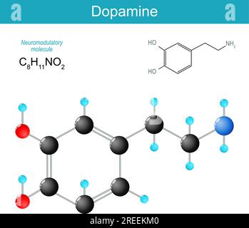 Dopaminmolekül. Molekularchemische Strukturformel und Modell des Monoaminneurotransmitters. Hormon des Stimmungsreglers. Neuromodulator. Organisch Stock Vektor