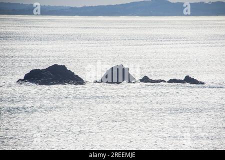 Klippen von Cape Byron, Byron Bay, Queensland, Australien Stockfoto