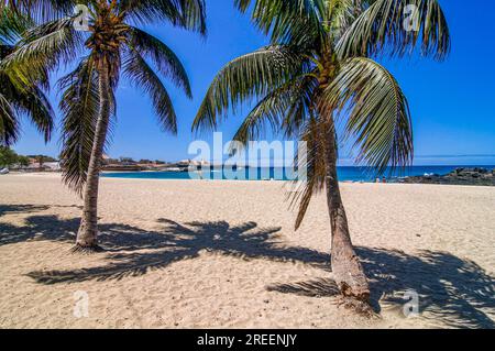 Schöner Sandstrand mit Palmen und Felsen. Tarrafal. Santiago. Cabo Verde. Afrika Stockfoto