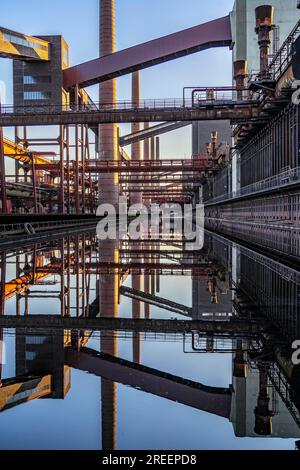 Kokerei Zollverein in der Zollverein-Grube, Förderbandbrücken, Schornsteine, Kokereibatterien, die sich im Regenwasser, das sich angesammelt hat, spiegeln Stockfoto