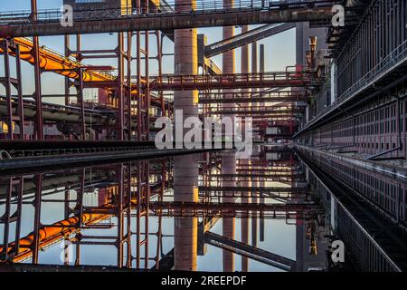 Kokerei Zollverein in der Zollverein-Grube, Förderbandbrücken, Schornsteine, Kokereibatterien, die sich im Regenwasser, das sich angesammelt hat, spiegeln Stockfoto