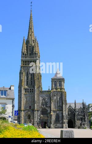 Gotische Basilika Notre Dame du Folgoet, Le Folgoet, Departement Finistere Penn-ar-Bed, Region Bretagne Breizh, Frankreich Stockfoto