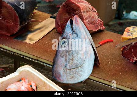 Thunfischstücke, Fischkopf, Detail, Fischmarkt, Catania, Altstadt, Barocke Altstadt, Östliche Küche, Sizilien, Italien Stockfoto