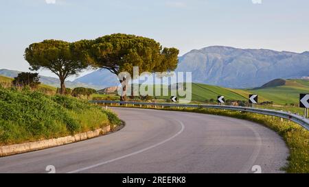 Straße, Kurve, Absperrungen, Bäume, Berge, Madonie-Nationalpark, Frühling, Sizilien, Italien Stockfoto