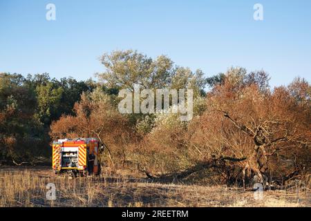 Feuerwehreinsatz nach Wiesenfeuer, Biosphärenreservat Mittelelbe, Sachsen-Anhalt, Deutschland Stockfoto