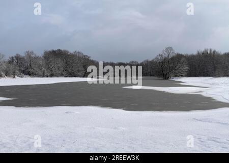 Winterfluten, überflutete Wiesen, Biosphärenreservat Mittelelbe, Sachsen-Anhalt, Deutschland Stockfoto