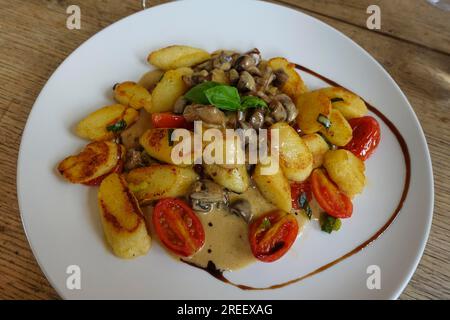 Vegetarische Küche, gebratene Gnocchi, Gnocchi mit Pilzen, Pilze, Sauce, Soße, Cocktailtomaten, Kirschtomaten, Teller, Kartoffelteig, Soße Stockfoto