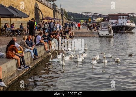 PRAG, TSCHECHISCHE REPUBLIK - 6. SEPTEMBER 2020: Menschen und Schwäne am Rasinovo-Ufer in Prag, Tschechische Republik Stockfoto