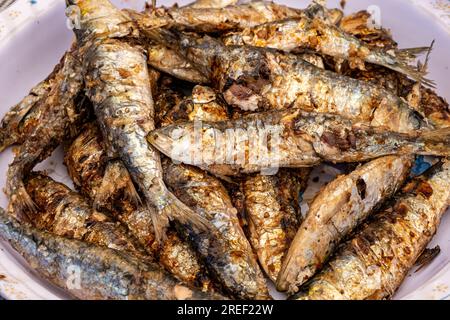 Selektiver Fokus, verzehrfertige, salzbeschichtete gegrillte Sardinen Stockfoto