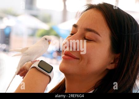 Dubai, Vereinigte Arabische Emirate - 27. August 2022 wunderschöne junge Dame, die Spaß mit Tierpapageien hat Stockfoto