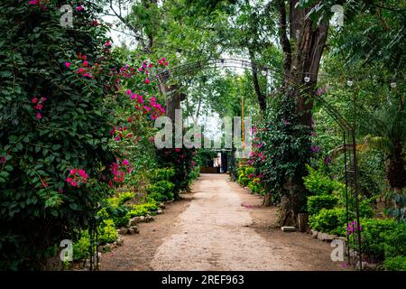 Garten mit Rosenbogentor und farbenfrohen Sommerblumen in Blüte Stockfoto