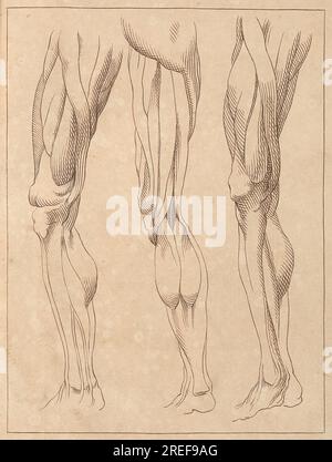 Anatomische Untersuchungen der Beine 1716 von Hamlet Winstanley Stockfoto