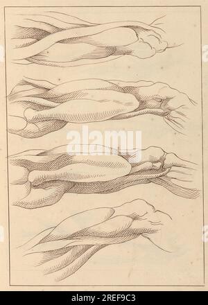 Anatomical Studies of Legs, 10. Oktober 1716 1716 von Hamlet Winstanley Stockfoto