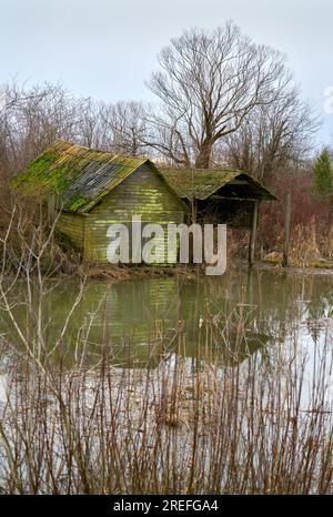 Verfallene Schuppen am Ufer eines Slough. Alte Schuppen in Finn Slough am Ufer des Fraser River nahe Steveston in Richmond, British Columbia, ca. Stockfoto