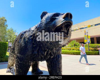 Die UCLA Bruin-Statue Stockfoto