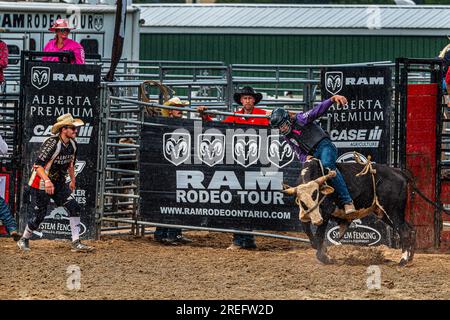 Canada Rodeo. ERIN ONTARIO RAM RODEO - am 22-23. Juli fand in Erin, Ontario, ein Rodeo-Wettbewerb statt. Pferde und Stiere reiten. Pferdeslalom. Stockfoto