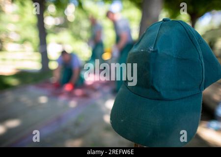 Die grüne Baseballmütze eines Bauarbeiters hängt an einem Holzhaken. Stockfoto