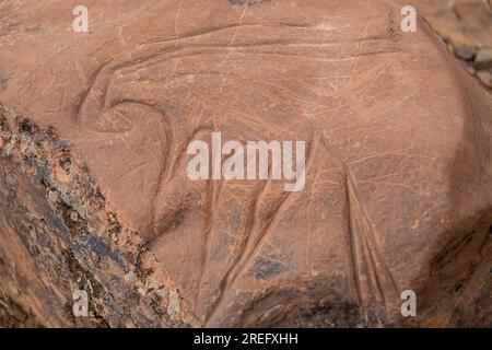 Petroglyphe eines Onyx, Ait Ouazik-Felsgelände, spätneolithisch, Marokko, Afrika Stockfoto