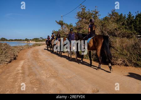 Reiter auf einer grünen Strecke neben Estany des Peix, Formentera, Pitiusas Inseln, Balearen, Spanien Stockfoto