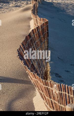 Schutzbarrieren für Dünenschutz, Strand von Llevant, Naturpark Ses Salines d’Eivissa i Formentera, Formentera, Pitiusas-Inseln, Balearengemeinschaft, Spanien Stockfoto