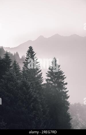 Blick auf Berge und Wälder bei Sonnenaufgang am Geroldsee, Bayern, Deutschland, Europa Stockfoto