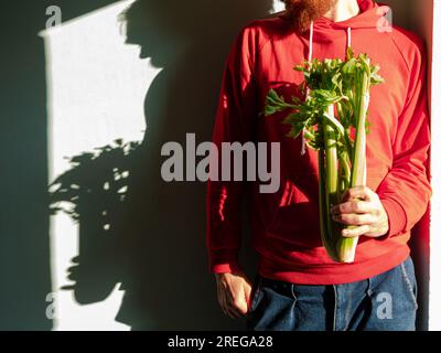 Ein bärtiger Mann in roter Kapuze hält frischen grünen Sellerie in der Hand, rauer Schatten. Gemüsesammlung gesunder Lebensstil Rohpflanzen vegane Lebensmittel Lebensmittel einkaufen Stockfoto