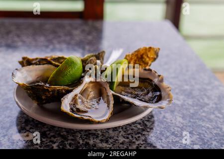 Ein Teller Austern, serviert mit Limette Stockfoto