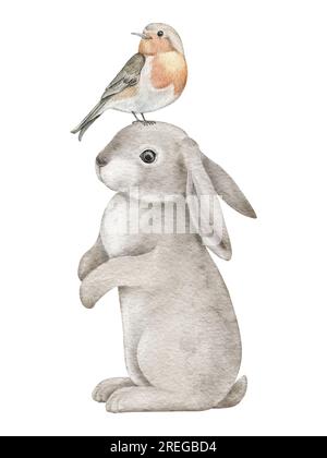 Aquarellwald Robin Vogel und Hase. Hand gezeichnet schöne Lied Vogel Erithacus rubecula, Kaninchen Illustration. Forst Design-Element für Wand Stockfoto