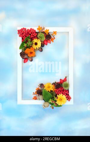 Herbstblütenernte Festival Fruchtblumen und Nüsse Hintergrund mit weißem Rahmen auf blauem Himmel und Wolken. Thanksgiving Herbst Naturdesign. Stockfoto