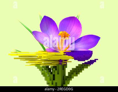3D Blütenkrokus. NFT-Konzept. 3D Abbildung. Stockfoto