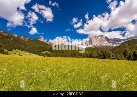 Vajolet Towers und Catinaccio, Reifen, Dolomiten, Südtirol, Italien Stockfoto