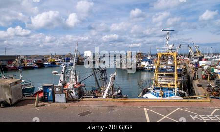 Fischerboote im Hafen von Brixham, einem großen Fischereihafen in Devon, England. Fischereiindustrie Vereinigtes Königreich Stockfoto