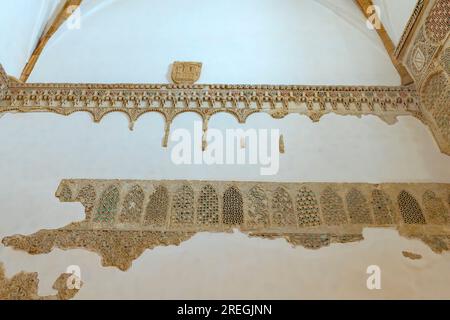 Details der Mudéjar-Fliesen aus dem Museum von Sahagún. Das Innere des Sanctuary of the Pilgrims (Santuario de la Peregrina) befindet sich am Stadtrand Stockfoto