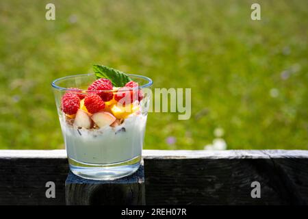 Schmackhaft und gesund aussehender Joghurt mit frischen Früchten wie Himbeeren, Pfirsich, Müsli und Minzeblätter vor grünem Grashintergrund Stockfoto