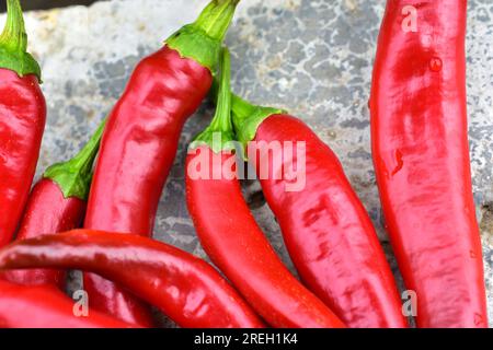 Auf dem Betonboden gab es jede Menge frische rote Chili-Paprika Stockfoto